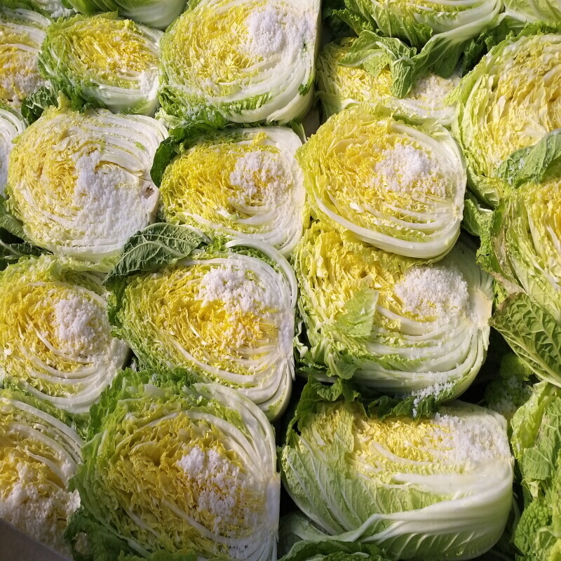 가람섶다리농원,강원도 고랭지 절임배추 20kg 영월절임배추